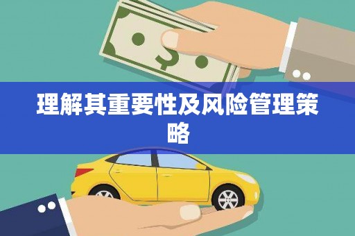 洛扎理解其重要性及风险管理策略