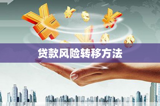洛扎贷款风险转移方法