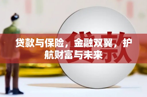 洛扎贷款与保险，金融双翼，护航财富与未来