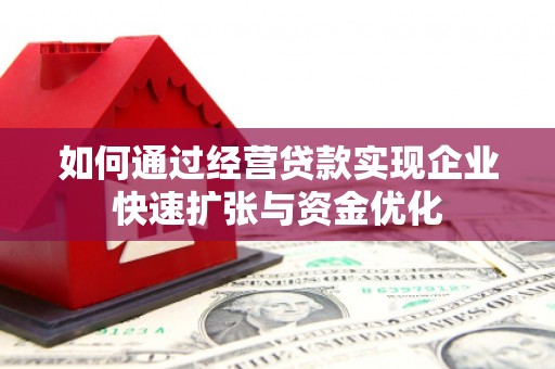 洛扎如何通过经营贷款实现企业快速扩张与资金优化