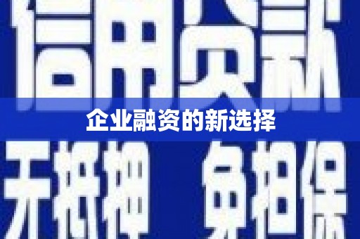 洛扎企业融资的新选择