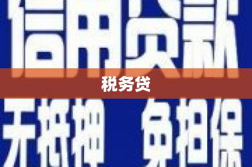 洛扎税务贷