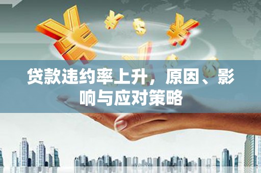 洛扎贷款违约率上升，原因、影响与应对策略