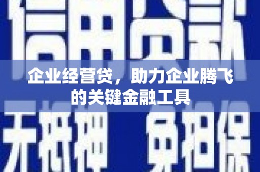 洛扎企业经营贷，助力企业腾飞的关键金融工具