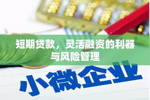 洛扎短期贷款，灵活融资的利器与风险管理