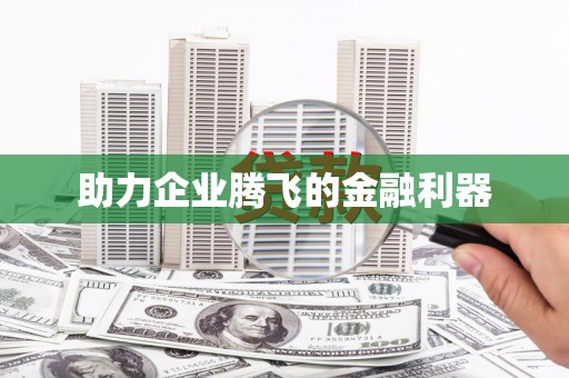 洛扎助力企业腾飞的金融利器