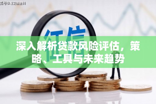 洛扎深入解析贷款风险评估，策略、工具与未来趋势