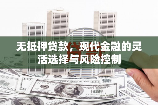 洛扎无抵押贷款，现代金融的灵活选择与风险控制