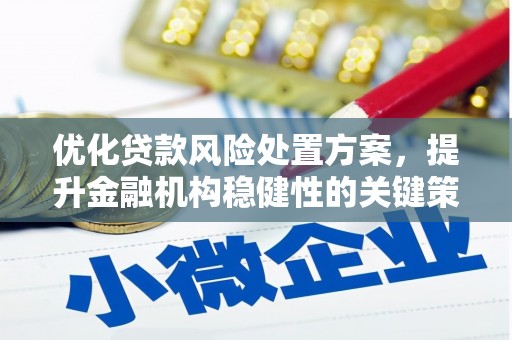 洛扎优化贷款风险处置方案，提升金融机构稳健性的关键策略