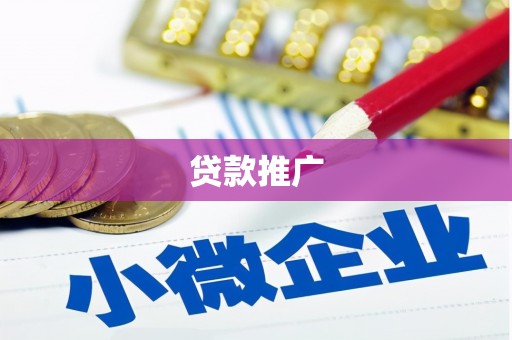 洛扎贷款推广