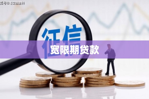 洛扎宽限期贷款