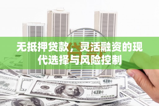 洛扎无抵押贷款，灵活融资的现代选择与风险控制