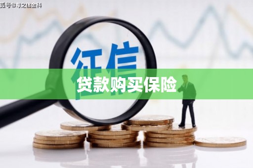 洛扎贷款购买保险