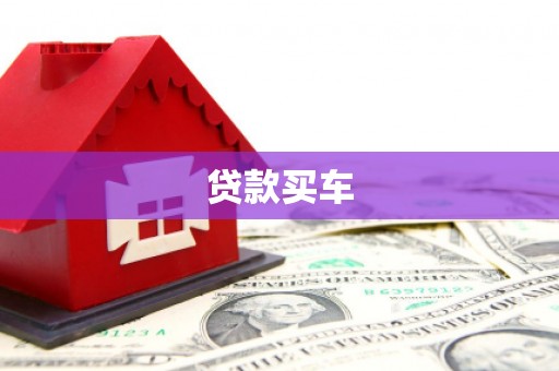 洛扎贷款买车