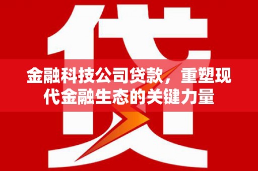 洛扎金融科技公司贷款，重塑现代金融生态的关键力量