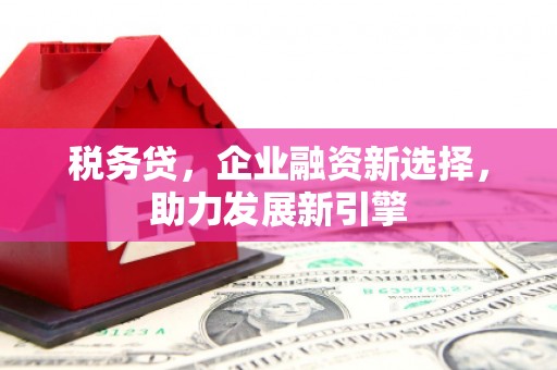 洛扎税务贷，企业融资新选择，助力发展新引擎