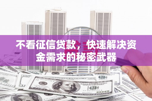 洛扎不看征信贷款，快速解决资金需求的秘密武器