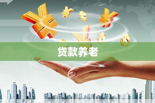 洛扎贷款养老