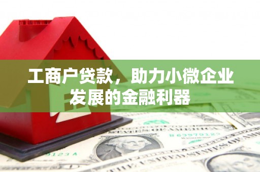 洛扎工商户贷款，助力小微企业发展的金融利器