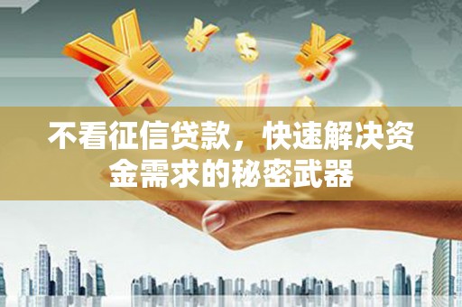 洛扎不看征信贷款，快速解决资金需求的秘密武器