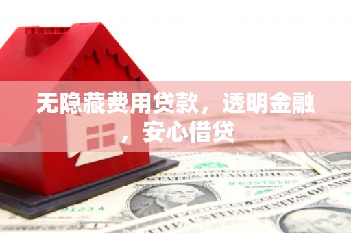 洛扎无隐藏费用贷款，透明金融，安心借贷