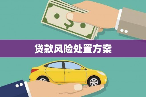 洛扎贷款风险处置方案
