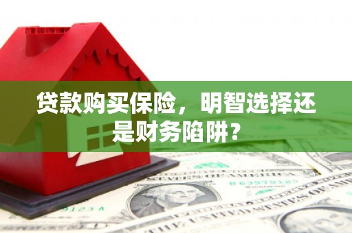 洛扎贷款购买保险，明智选择还是财务陷阱？