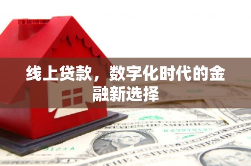 洛扎线上贷款，数字化时代的金融新选择