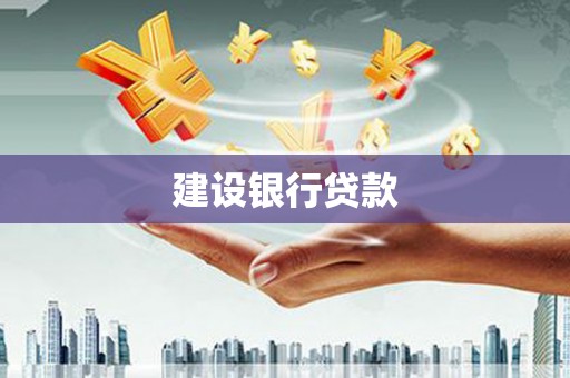 洛扎建设银行贷款