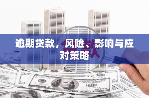 洛扎逾期贷款，风险、影响与应对策略