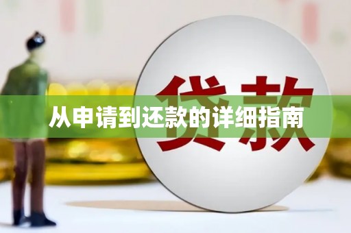 洛扎从申请到还款的详细指南