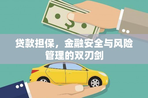 洛扎贷款担保，金融安全与风险管理的双刃剑