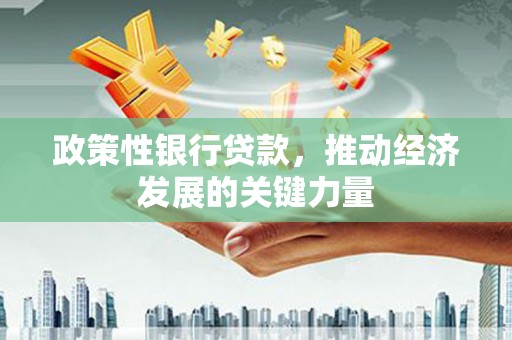 洛扎政策性银行贷款，推动经济发展的关键力量