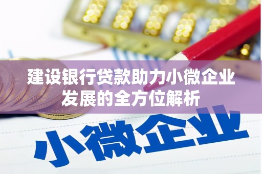 洛扎建设银行贷款助力小微企业发展的全方位解析