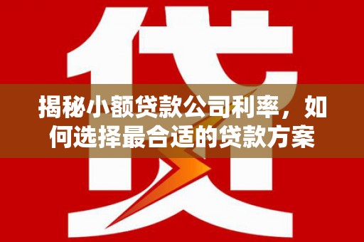 洛扎揭秘小额贷款公司利率，如何选择最合适的贷款方案