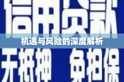 洛扎机遇与风险的深度解析