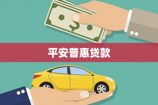 洛扎平安普惠贷款