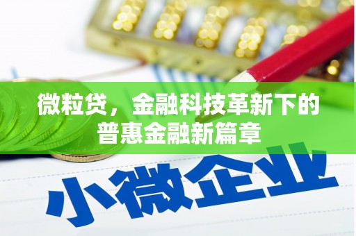 洛扎微粒贷，金融科技革新下的普惠金融新篇章