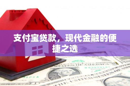 洛扎支付宝贷款，现代金融的便捷之选
