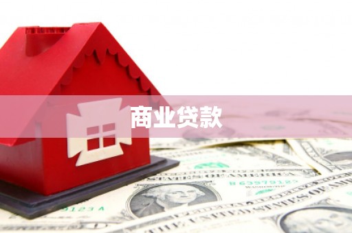 洛扎商业贷款