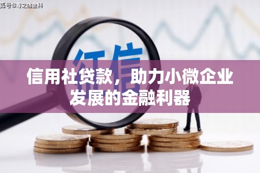 洛扎信用社贷款，助力小微企业发展的金融利器