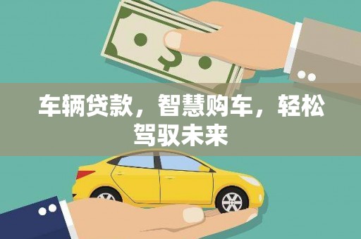 洛扎车辆贷款，智慧购车，轻松驾驭未来