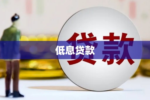 洛扎低息贷款