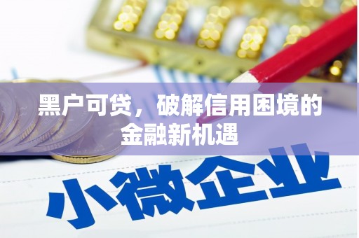 洛扎黑户可贷，破解信用困境的金融新机遇
