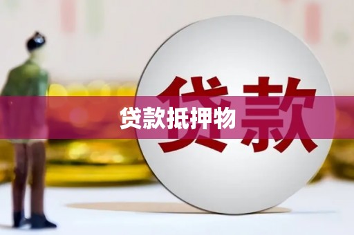 洛扎贷款抵押物