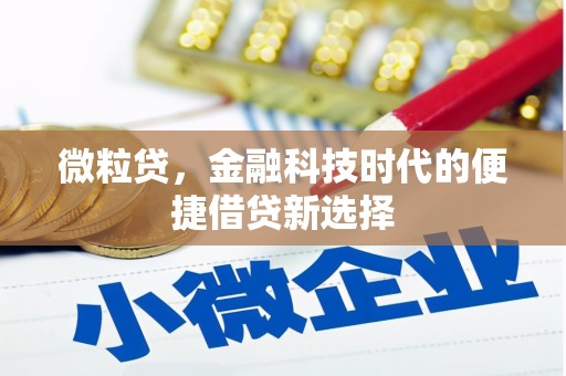 洛扎微粒贷，金融科技时代的便捷借贷新选择