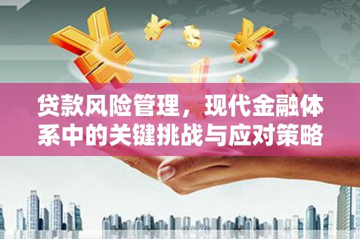 洛扎贷款风险管理，现代金融体系中的关键挑战与应对策略