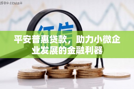 洛扎平安普惠贷款，助力小微企业发展的金融利器
