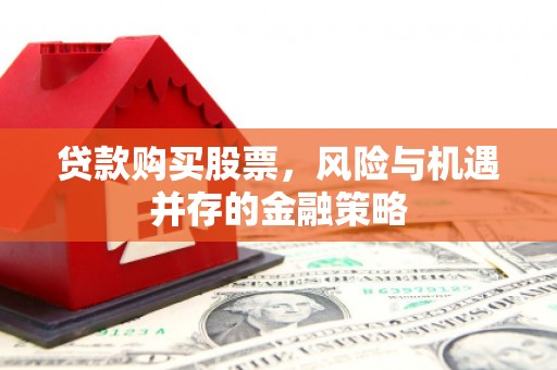 洛扎贷款购买股票，风险与机遇并存的金融策略