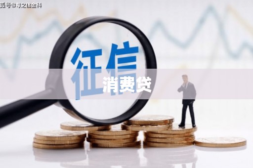 洛扎消费贷